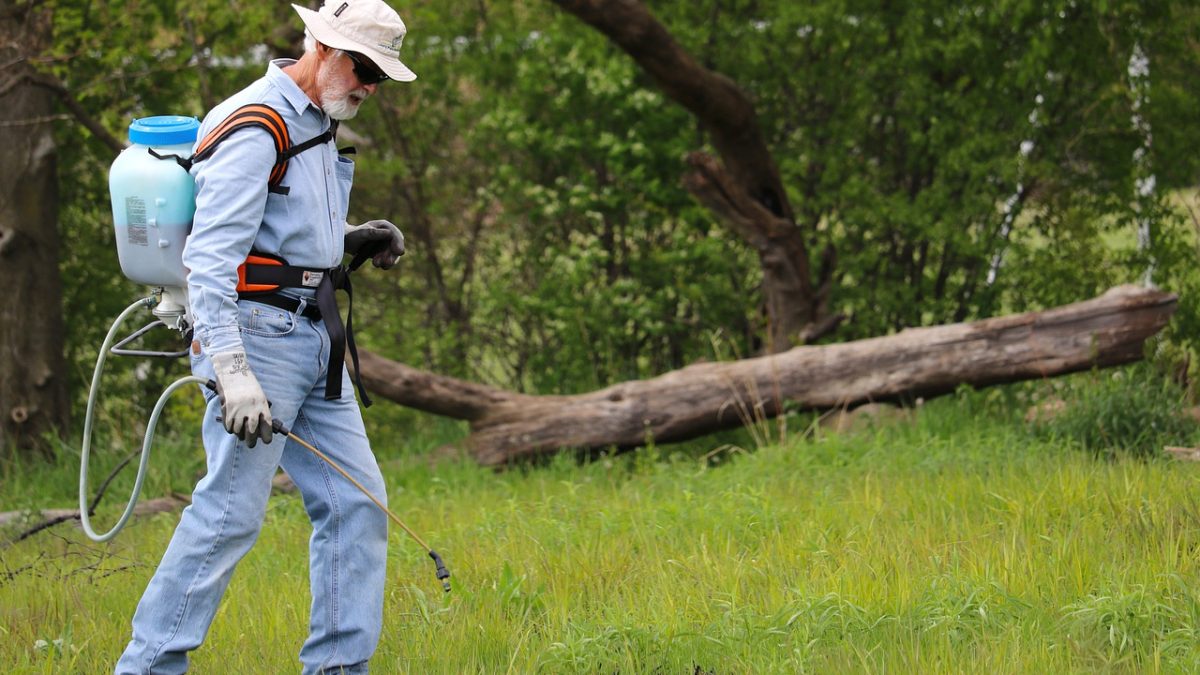 The Essential Weed Control Service Guide: Keeping Your Greens Clean and Pristine